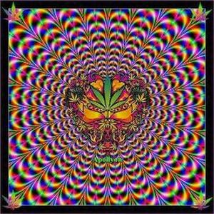 Meet your Posher, Kelli